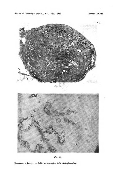 Rivista di patologia sperimentale