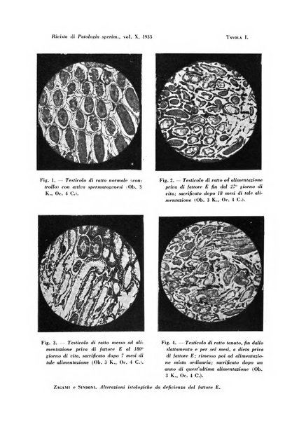 Rivista di patologia sperimentale