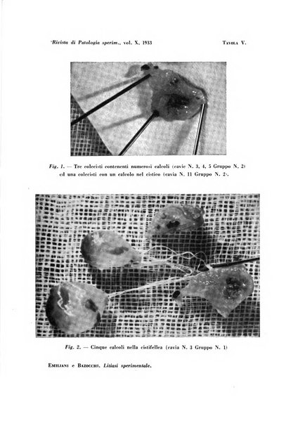 Rivista di patologia sperimentale