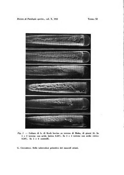 Rivista di patologia sperimentale