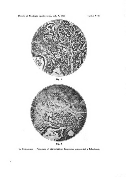 Rivista di patologia sperimentale