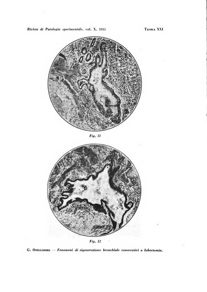 Rivista di patologia sperimentale