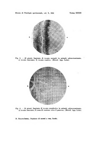 Rivista di patologia sperimentale