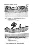 giornale/TO00194139/1933/v.2/00000107