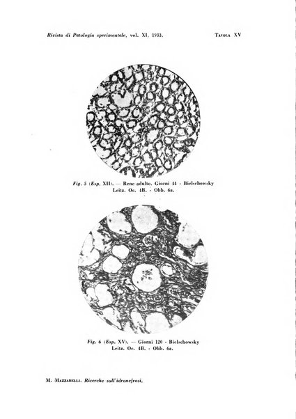 Rivista di patologia sperimentale