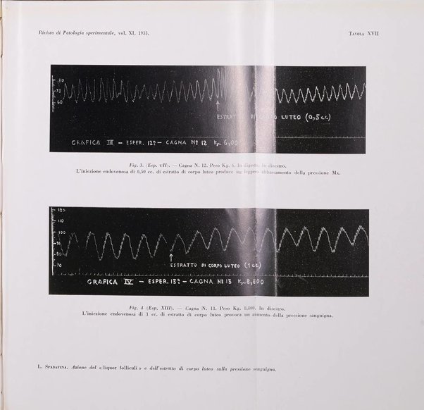 Rivista di patologia sperimentale