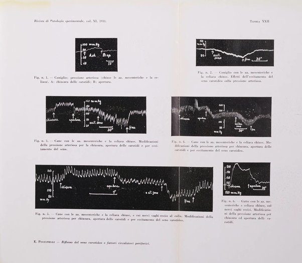 Rivista di patologia sperimentale