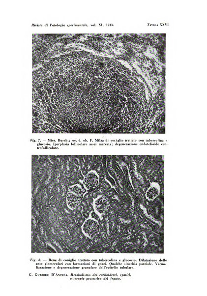 Rivista di patologia sperimentale