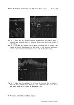 giornale/TO00194139/1934/v.1/00000311