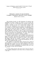 giornale/TO00194139/1934/v.1/00000401