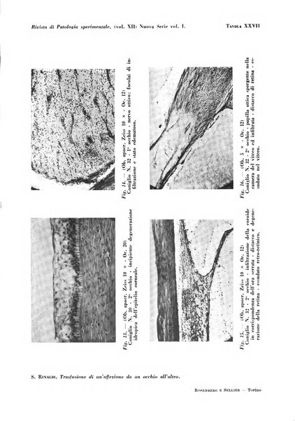 Rivista di patologia sperimentale