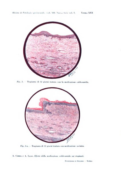 Rivista di patologia sperimentale