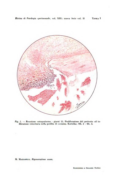 Rivista di patologia sperimentale