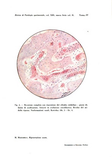 Rivista di patologia sperimentale