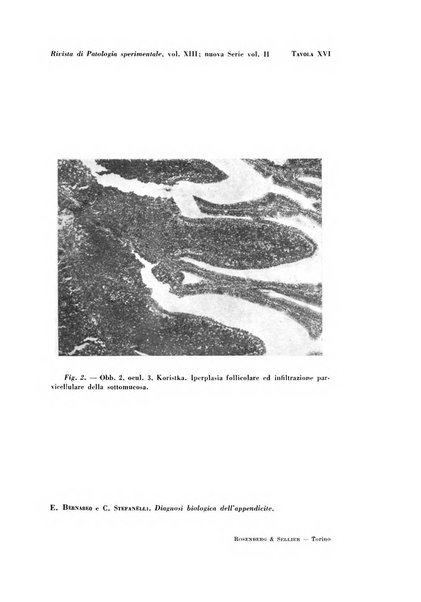 Rivista di patologia sperimentale