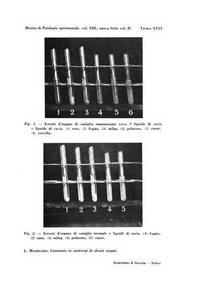 Rivista di patologia sperimentale