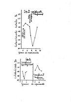 giornale/TO00194139/1936/v.1/00000337