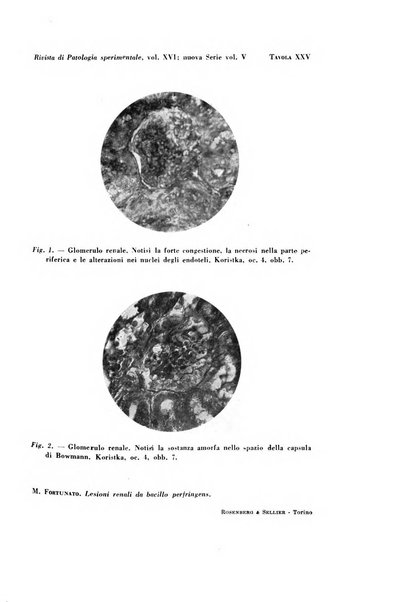 Rivista di patologia sperimentale