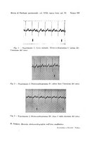 giornale/TO00194139/1936/v.2/00000245