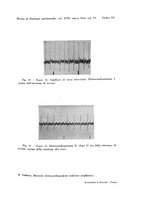 giornale/TO00194139/1936/v.2/00000251