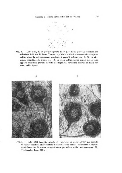 Rivista di patologia sperimentale