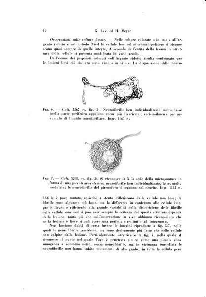 Rivista di patologia sperimentale