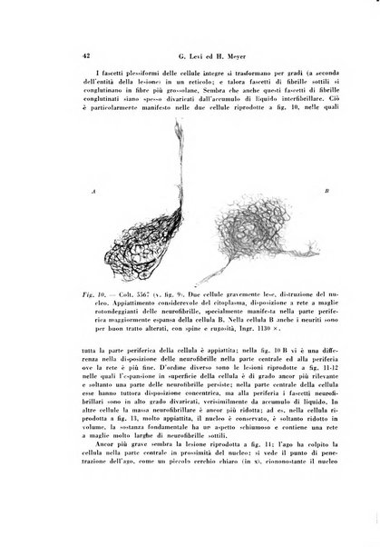 Rivista di patologia sperimentale