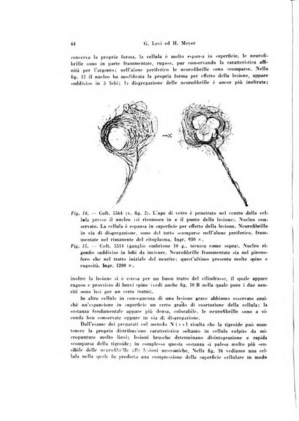 Rivista di patologia sperimentale