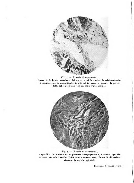 Rivista di patologia sperimentale