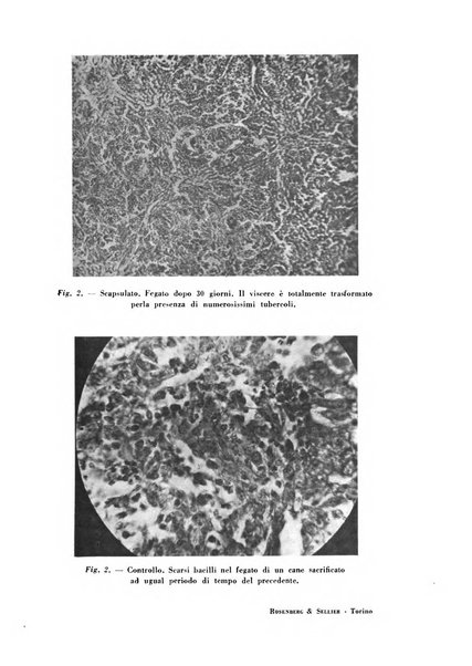 Rivista di patologia sperimentale