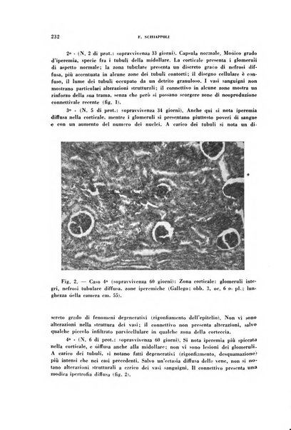 Rivista di patologia sperimentale