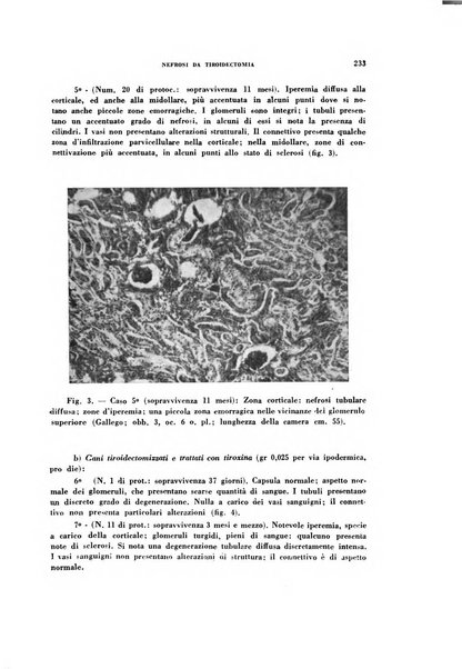 Rivista di patologia sperimentale