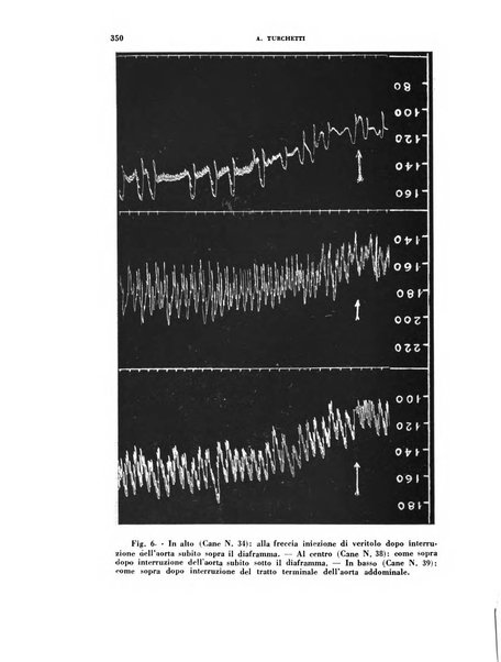 Rivista di patologia sperimentale