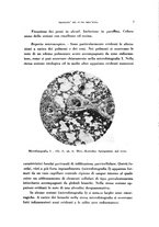 giornale/TO00194139/1938/v.2/00000013