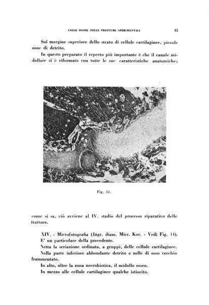 Rivista di patologia sperimentale