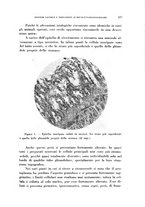 giornale/TO00194139/1938/v.2/00000239