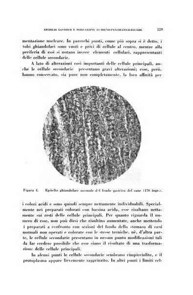 Rivista di patologia sperimentale