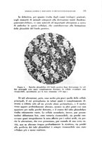 giornale/TO00194139/1938/v.2/00000243