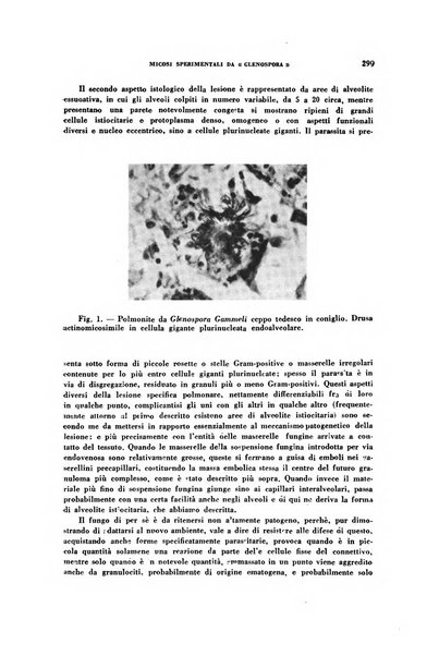 Rivista di patologia sperimentale