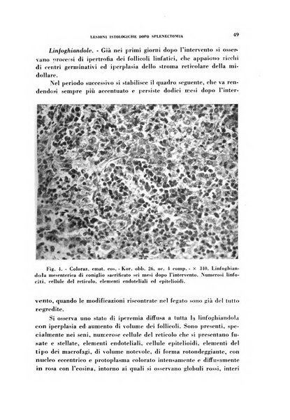 Rivista di patologia sperimentale