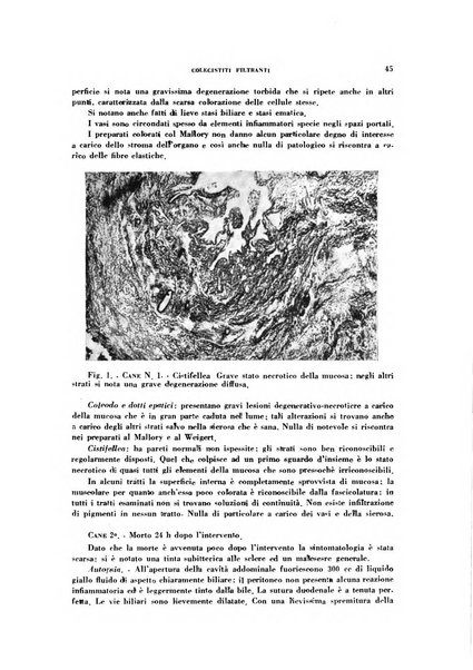 Rivista di patologia sperimentale