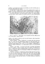 giornale/TO00194139/1940/v.1/00000052