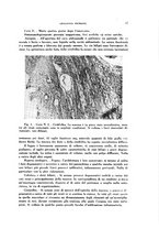 giornale/TO00194139/1940/v.1/00000053