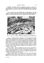 giornale/TO00194139/1940/v.1/00000055