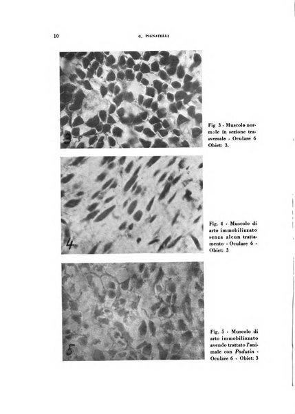 Rivista di patologia sperimentale