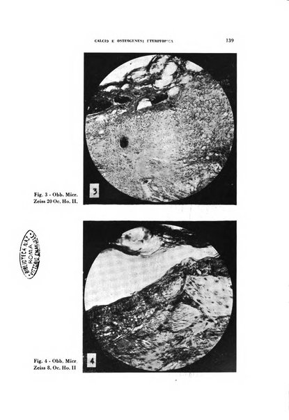 Rivista di patologia sperimentale