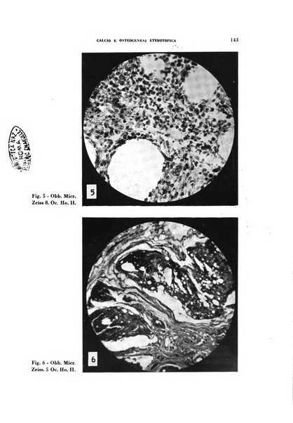 Rivista di patologia sperimentale