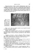 giornale/TO00194139/1941/v.1/00000303