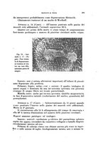 giornale/TO00194139/1941/v.1/00000309