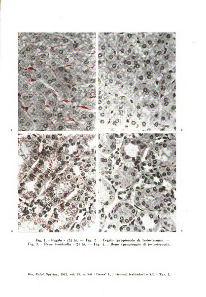 Rivista di patologia sperimentale